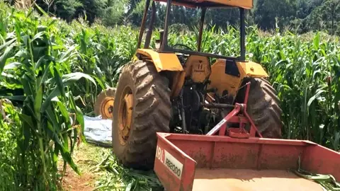 Un hombre ha muerto tras ser arrollado por su tractor