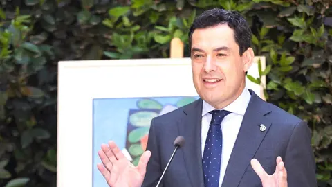 El presidente de la Junta de Andaluc&iacute;a Juanma Moreno (9)