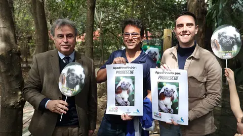 Apadrinamiento de los titis cabeza de algod&oacute;n | Cristo Garc&iacute;a