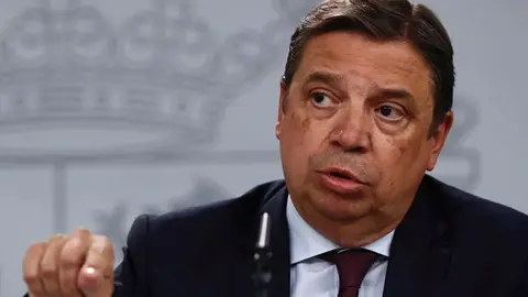 El ministro Luis Planas