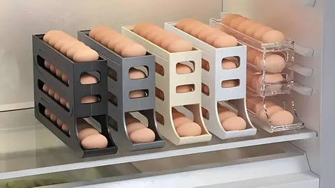 Birtern Huevera para Nevera