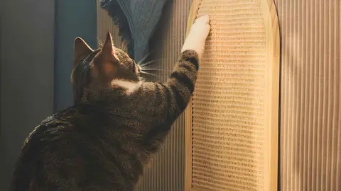 Rascador para gato UTS&Aring;DD de Ikea