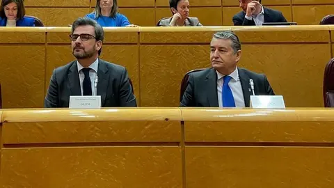 Antonio Sanz, durante su comparecencia en el Senado
