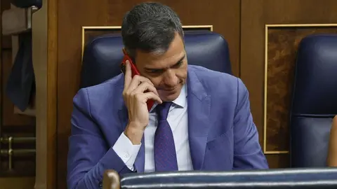 Pedro S&aacute;nchez, presidente del Gobierno de Espa&ntilde;a (1)