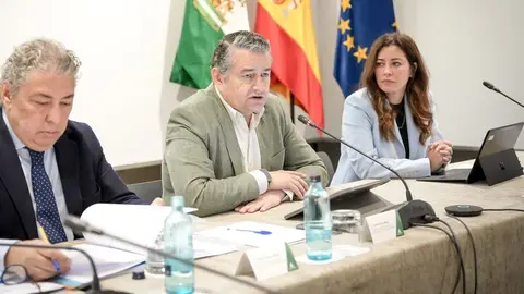 Antonio Sanz, en la reuni&oacute;n del Comit&eacute; de Seguridad TIC
