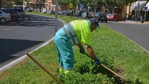Una persona trabaja como jardinero