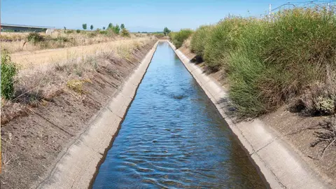 Una acequia en una foto de archivo