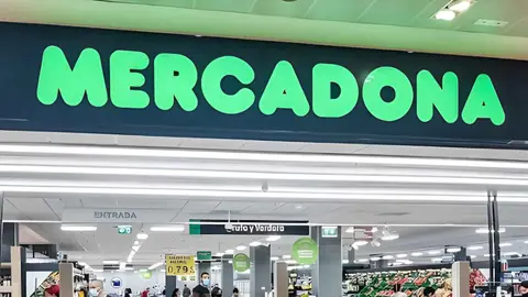 Mercadona - &Aacute;rea Sur | El MIRA
