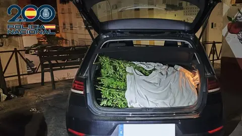 Asalto a una plantaci&oacute;n de marihuana en Jerez