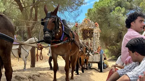 La Hermandad del Roc&iacute;o de Jerez por el Coto de Do&ntilde;ana | Rafa Dom&iacute;nguez