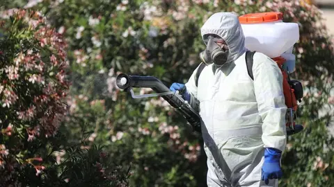 Un operario, durante los trabajos de fumigaci&oacute;n en C&aacute;diz