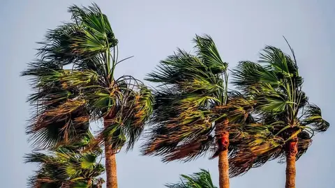 El viento ser&aacute; el gran protagonista en C&aacute;diz
