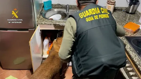 La Guardia Civil ha dirigido la operaci&oacute;n (3)