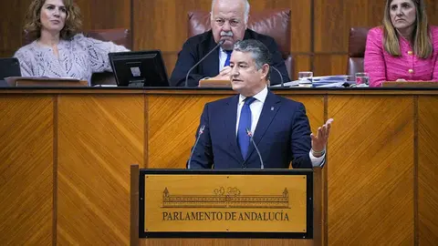 El consejero de la Presidencia, Antonio Sanz, durante una intervenci&oacute;n en el Parlamento
