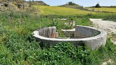 Suelos en Asta Regia