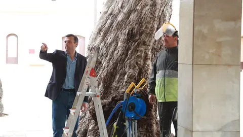 Bruno Garc&iacute;a, durante su visita al Baluarte de la Candelaria | Cristo Garc&iacute;a