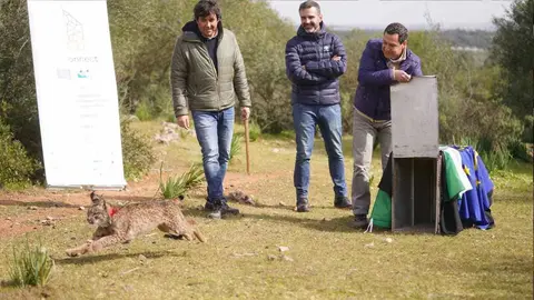 Juanma Moreno, durante la liberaci&oacute;n de un lince ib&eacute;rico