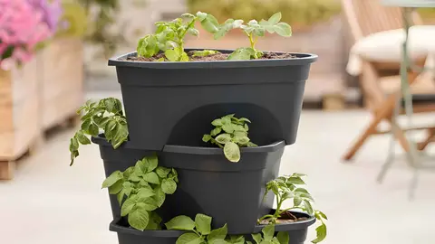 Torre de plantaci&oacute;n Parkside de Lidl