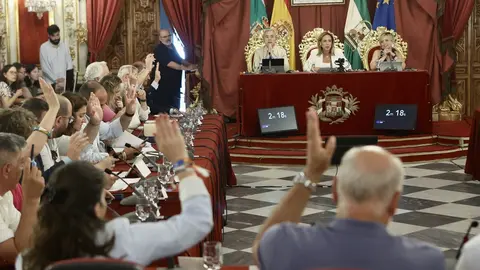 Almudena Mart&iacute;nez ha presidido el pleno de la Diputaci&oacute;n de C&aacute;diz