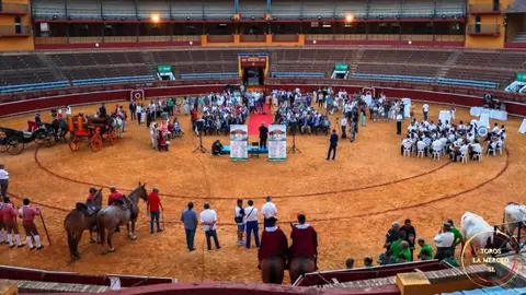 Presentaci&oacute;n en Huelva
