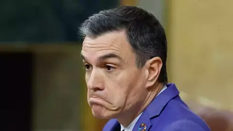 Pedro S&aacute;nchez