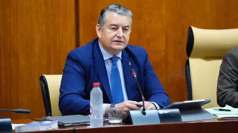 Antonio Sanz ha criticado duramente la posici&oacute;n del PSOE en las sentencias de los ERE