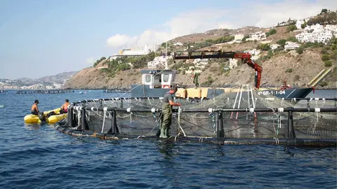 Instalaci&oacute;n acu&iacute;cola