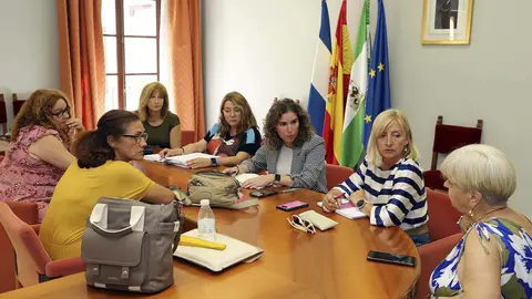 Comisi&oacute;n Permanente del Consejo Local de la Mujer 