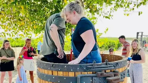 Vendimia en Vi&ntilde;a La Torre