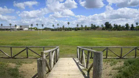 Pradera Laura Delgado 'Bimba'