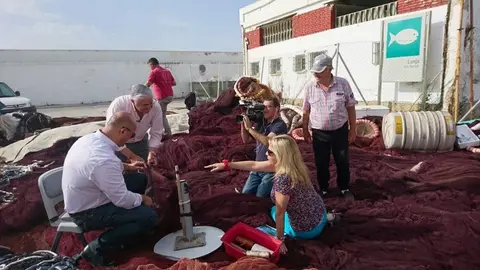 Turismo marinero en Marbella