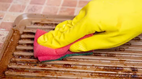 Quitagrasas sin espuma Bosque Verde de Mercadona