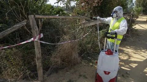 Fumigaci&oacute;n contra el Virus del Nilo en Andaluc&iacute;a