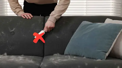 Amazon rebaja la soluci&oacute;n definitiva para limpiar las alfombras y el sof&aacute;