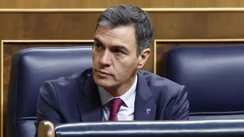 Pedro S&aacute;nchez, presidente del Gobierno de Espa&ntilde;a (4)