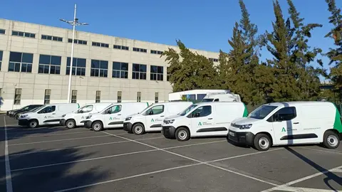 Imagen de los nuevos veh&iacute;culos del SAS