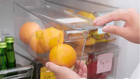 Caja para frigor&iacute;fico KLIPPKAKTUS de Ikea