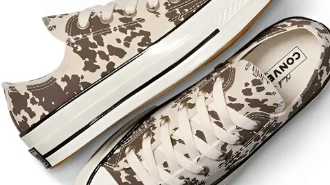 Zapatillas Converse Chuck 70 Animal Print