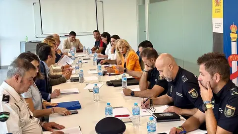 La subdelegada del Gobierno en Huelva, Mar&iacute;a Jos&eacute; Rico, y la alcaldesa de Huelva, Pilar Miranda, han copresidido la junta local de seguridad.