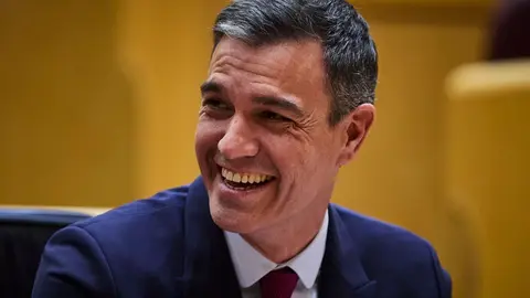 El presidente del Gobierno de Espa&ntilde;a Pedro S&aacute;nchez