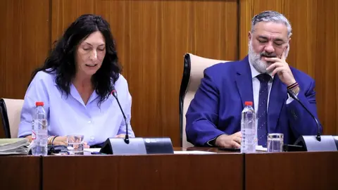 La consejera de Inclusi&oacute;n Social Loles L&oacute;pez