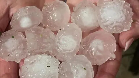 Tama&ntilde;o de los granizos recogidos durante la tormenta en El Ejido