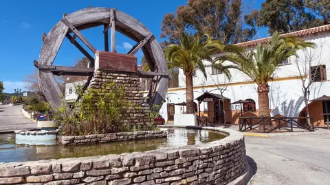 El Bosque se convertir&aacute; en epicentro cultural