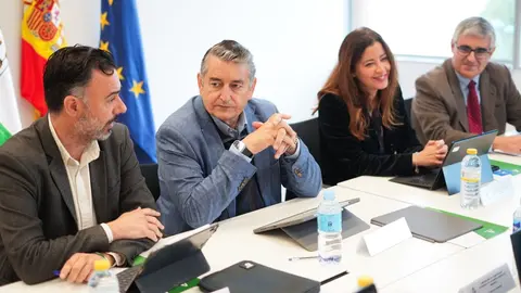 Antonio Sanz ha presidido el Comit&eacute; de Direcci&oacute;n de la Agencia Digital de Andaluc&iacute;a