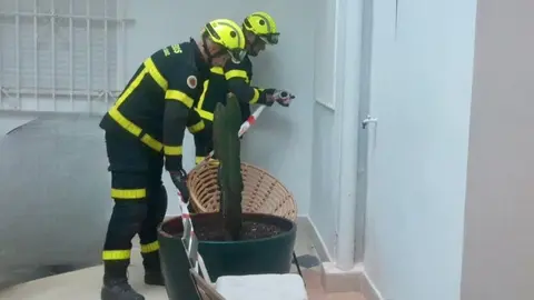 Bomberos actuando por el hundimiento del suelo en un apartamento tur&iacute;stico en Jerez | CBPC