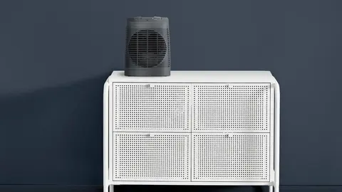 Calefactor bajo consumo de Rowenta