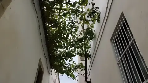 Calle Cadenas en Jerez