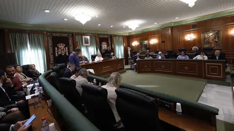 Imagen de la sesi&oacute;n plenaria en la que se ha aprobado el presupuesto de 2025 para Marbella