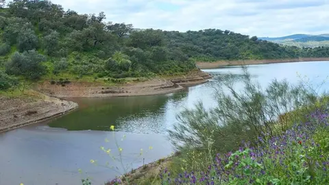 Los embalses mantienen las reservas de agua en Andaluc&iacute;a