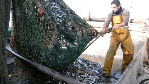 La pesca de arrastre representa el sustento para muchas familias en Andaluc&iacute;a